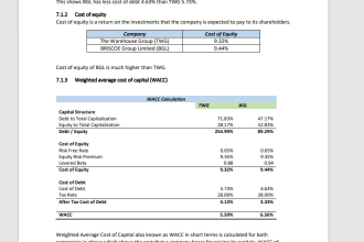 prepare executive level businesses model, analysis report and valuation report