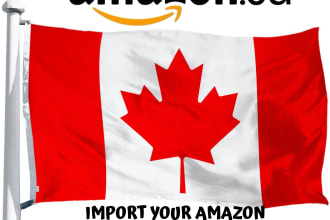 be your import customs consultant in canada