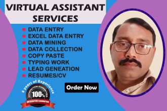 perfect excel data manager, data entry, web research and typing