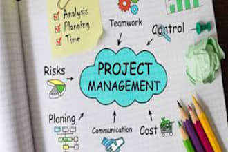 manage projects, team, social media and operations