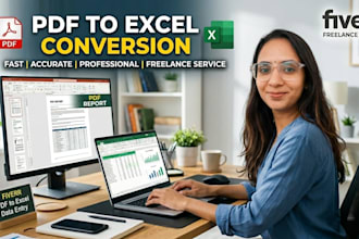 do PDF to excel conversion and excel data formatting