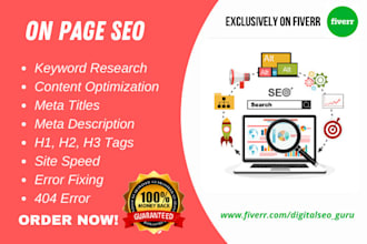 make complete on page website SEO for guaranteed ranking