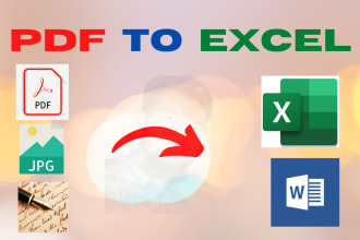 convert pdf to excel, word, and data entry