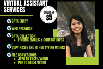 do data entry, copy paste, and excel data entry work for you
