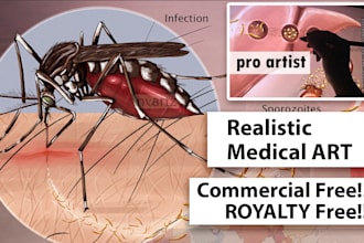 medical illustration pro level