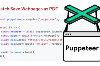 automate chrome browser with puppeteer or playwright