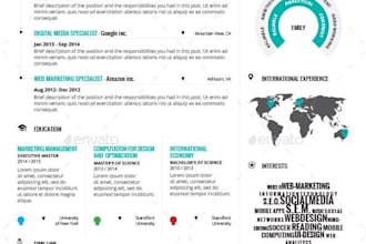 design a highly professional infographic CV, resume, and cover letters