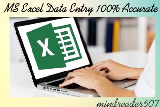 do excel data entry accurately