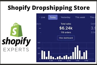 set up shopify dropshipping and ecommerce store