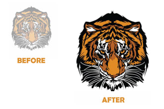 vectorize, redraw, trace,vector tracing in adobe illustrator