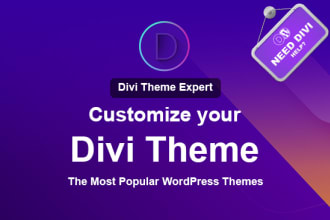 customize divi elegant theme