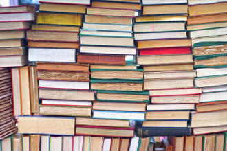 write a highly accurate book or chapter summary
