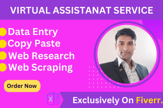 be your virtual assistant for data entry, copy paste work