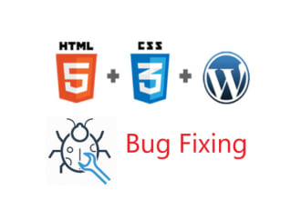do bug fixing in wordpress