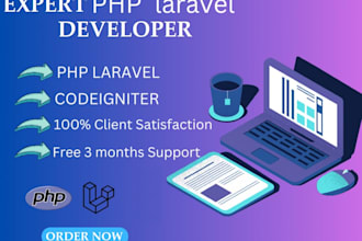 do full stack website development php laravel node react dev