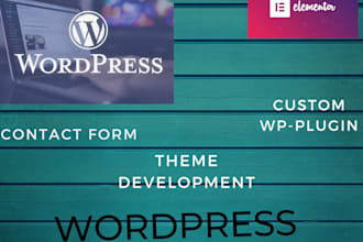 create professional wp website for my client