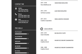 create a modern ms word CV or resume