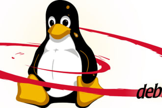 install or update or upgrade your debian or ubuntu system
