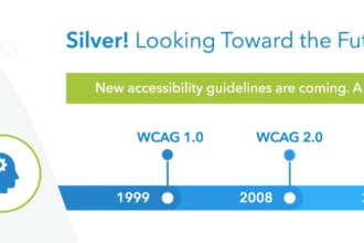 web accessibility expert for your website