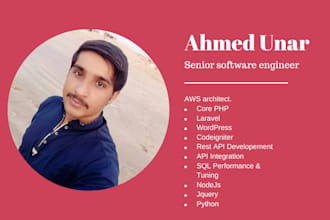 do API integration and development