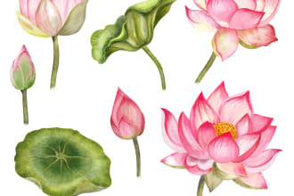 draw flowers illustrations in watercolour style