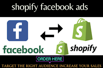 facebook tiktok ads campaign manger shopify store