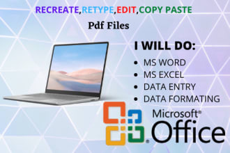 retype or convert pdf to word, fastest data entry in low price