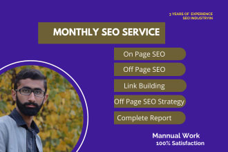 provide monthly SEO services with quality backlinks