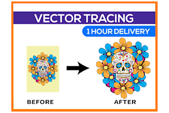 convert your image to vector format