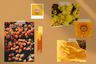 create a beautiful moodboard for you