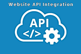 do api integration and custom api development