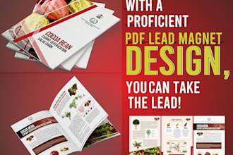 do a proficient PDF lead magnet designs and more