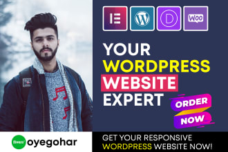 design, revamp, clone wordpress website or online store using elementor pro