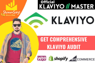 audit your klaviyo flows and share strategy to build a robust sales funnel