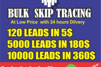 do skip tracing in bulk and batch