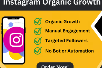provide the best instagram hashtags or customized growth strategy for your niche