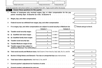 prepare irs form 940  941 1040 schedule c 1099