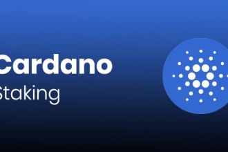 help or setup for you a secure cardano stake pool