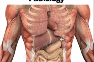 be your anatomy, physiology and pathology tutor