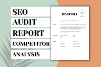 make detailed SEO analysis or audit report of your website