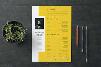 write and upgrade your resume or cv