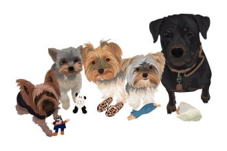 draw an amazing vector cartoon for your pet in 24 hours