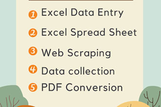 do professional data entry, email collection, web scraping, PDF conversion