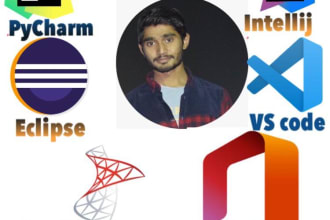 teach you vb dotnet python java netbean intellij javascript