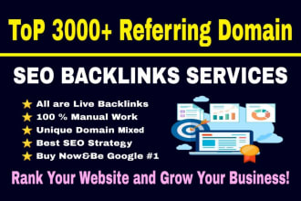 make 3000 referring domain SEO backlinks for google ranking