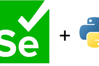 make a bot with selenium on python that tests your website