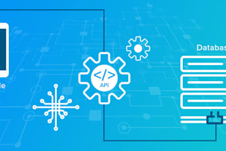 do API development and integrations