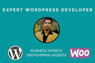create dropshipping wordpress website or business website