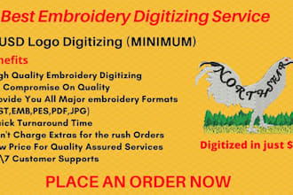 do professional embroidery digitizing into dst,pes files