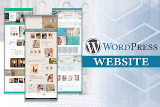 develop a professional wordpress website